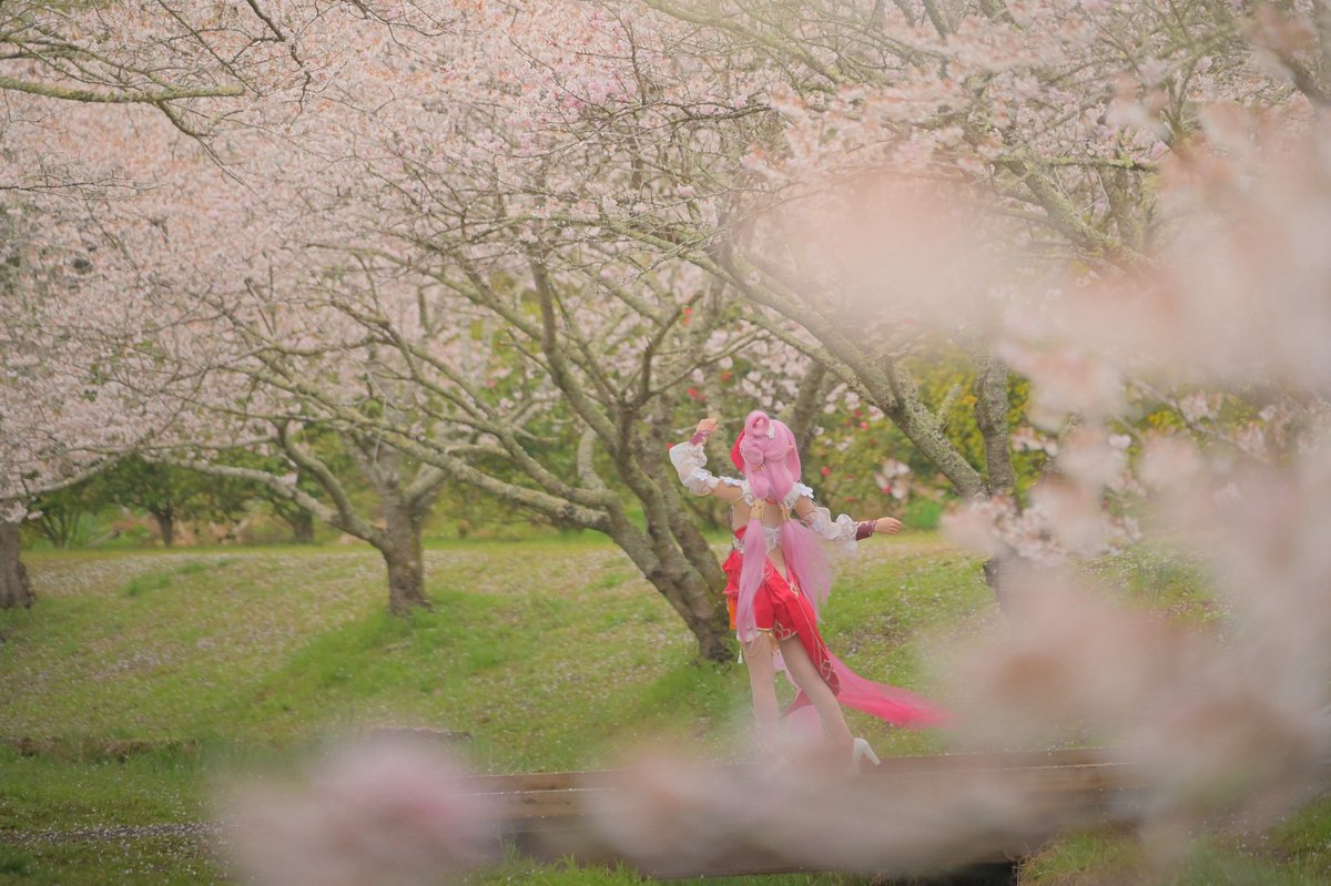 乃ノ野 tweet media