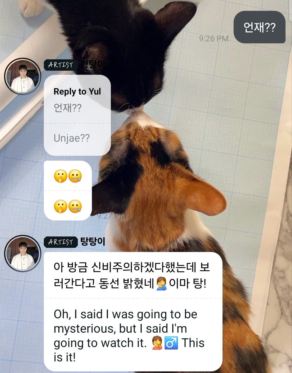 Yul 🍭 tweet media