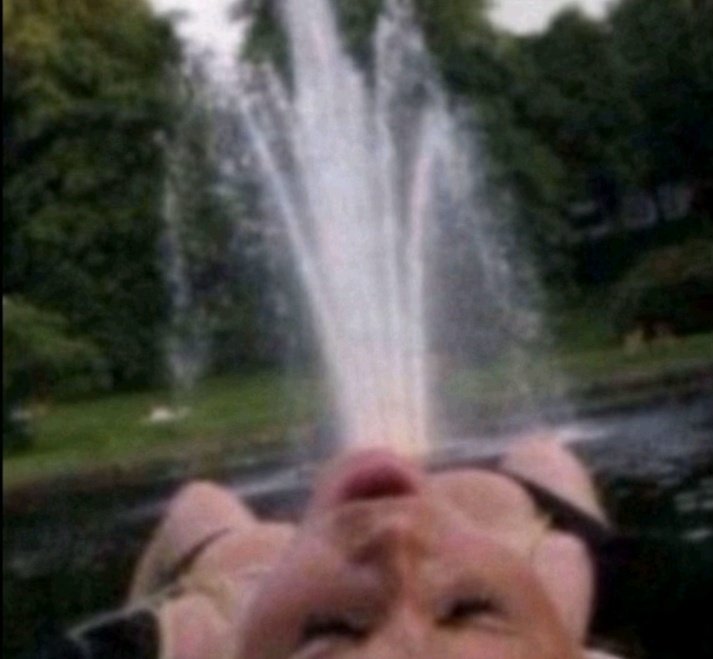 Beeh🐝 tweet media