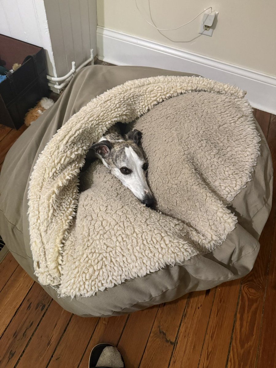 nobody you know tweet media