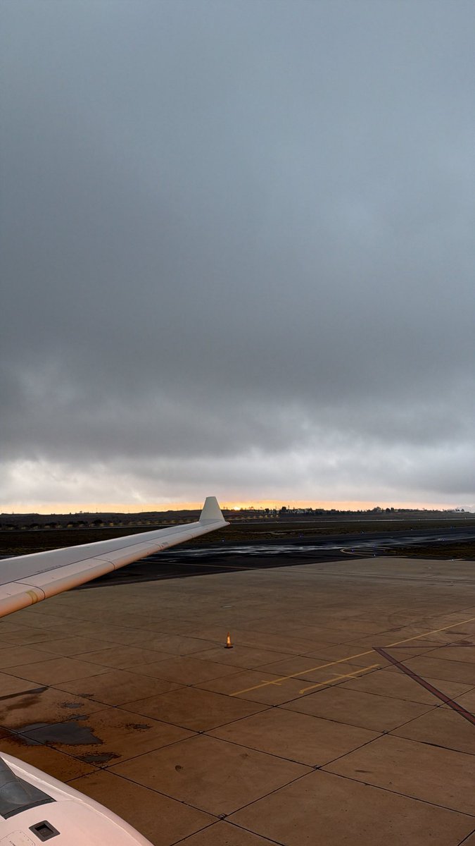 هذال tweet media