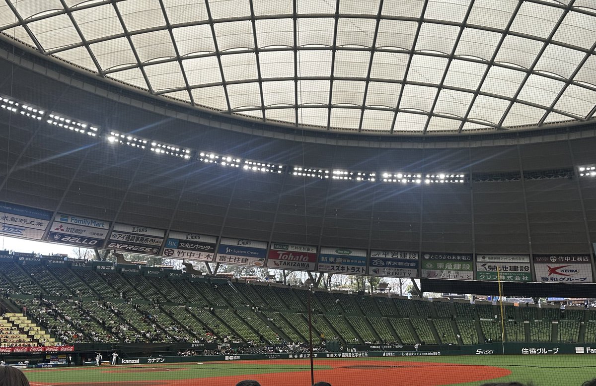 てやん🐨 tweet media