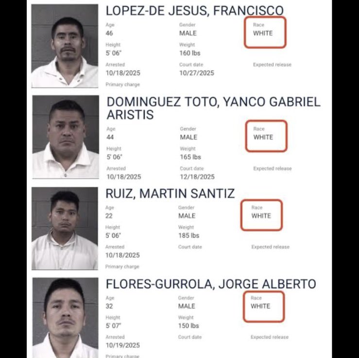 Lozzy B 🇦🇺𝕏 tweet media