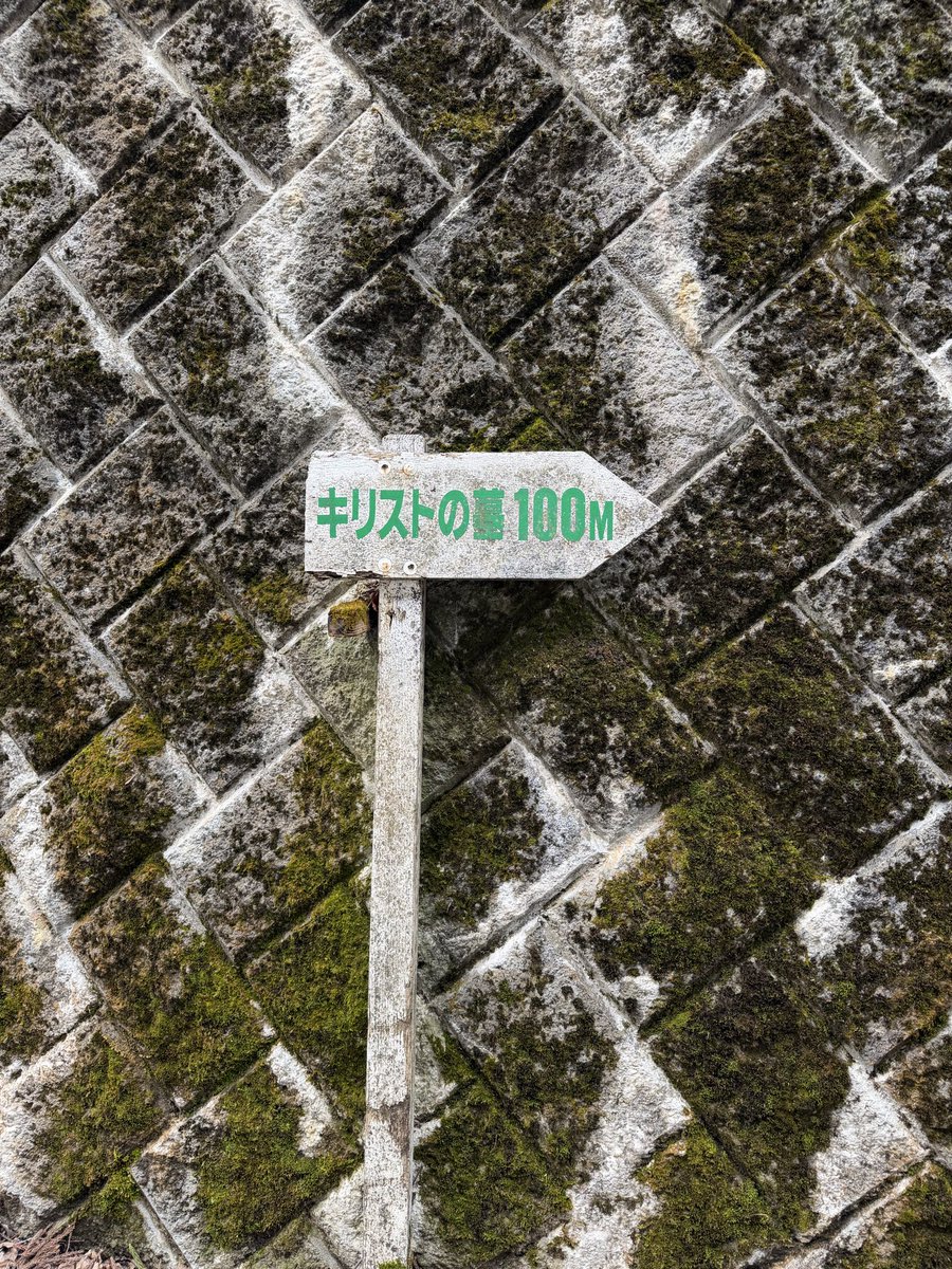 おかにこーん tweet media