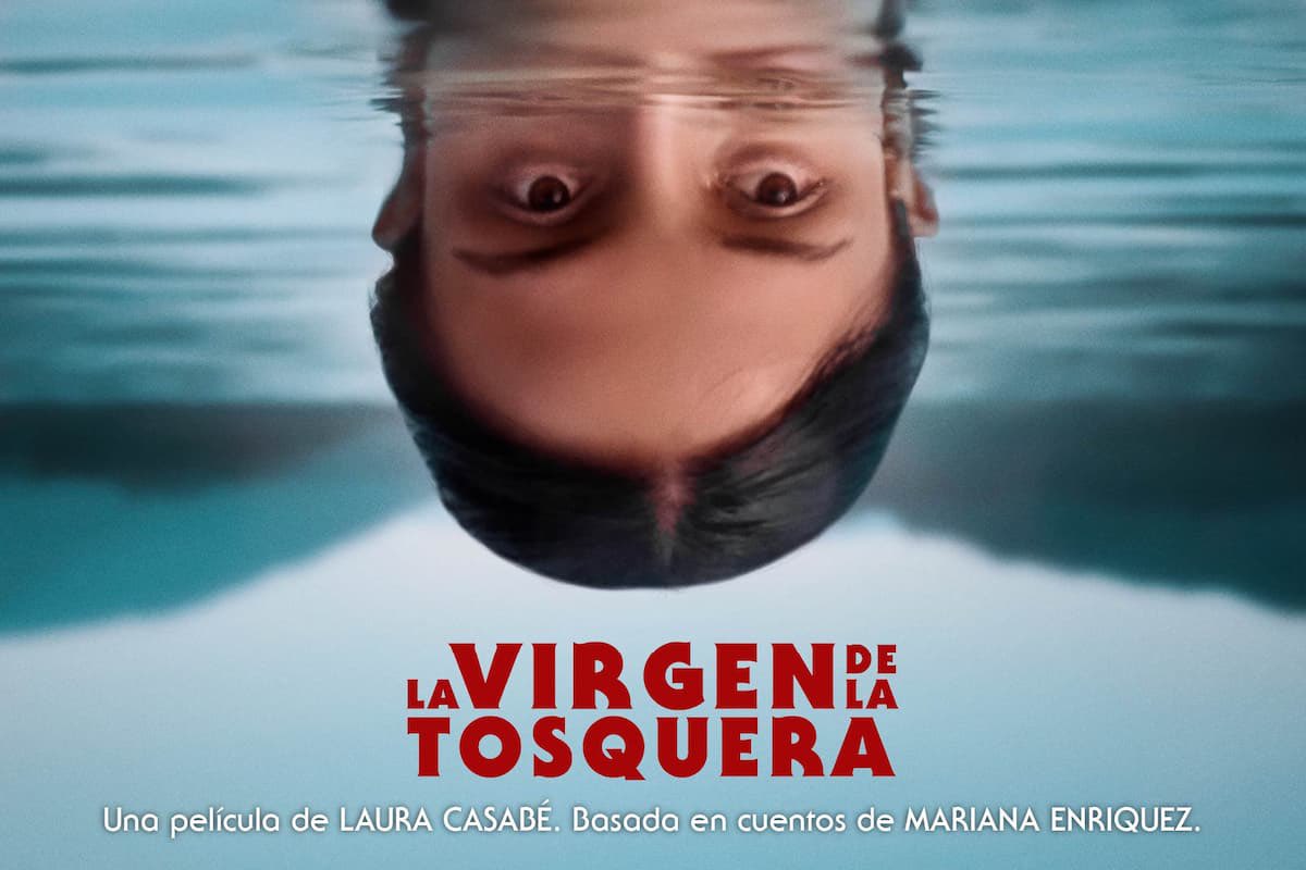 valëntina tweet media