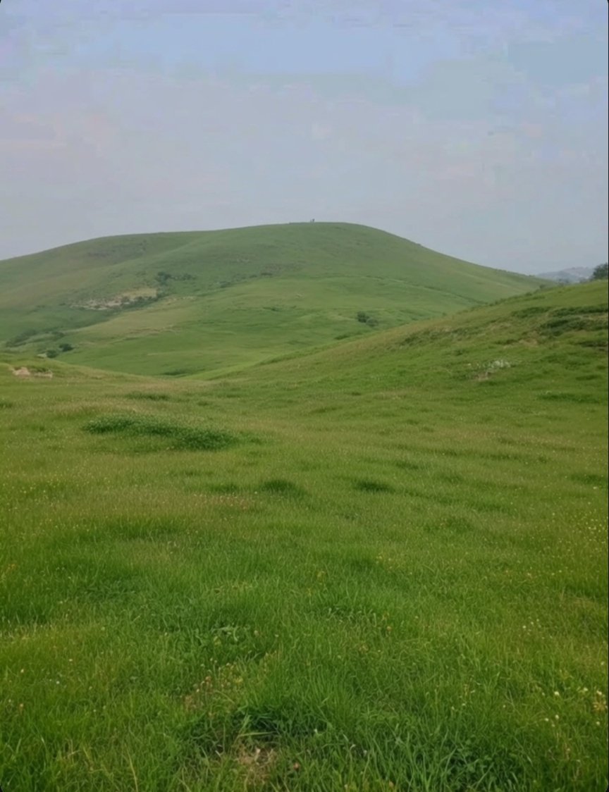 Global News 24 tweet media