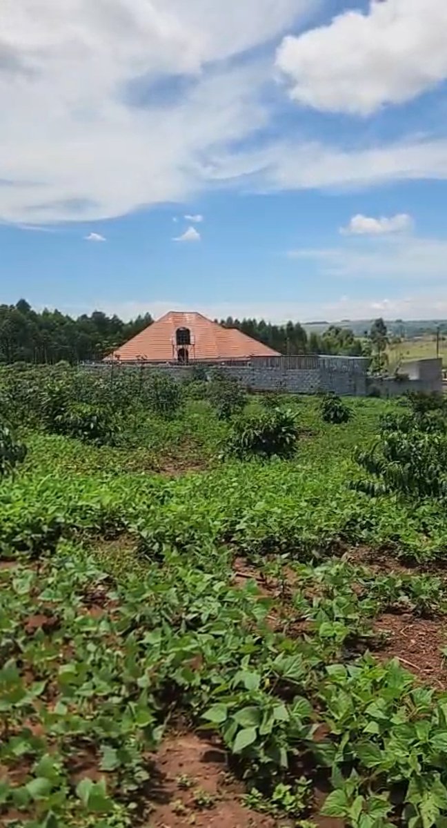 shukranproperty's tweet image. LAND FOR SALE OFF ENTEBBE ROAD 

2 Acres of land 

Private Mailo Land title

Located at Sissa, Ngongolo before #Nakawuka Town

Selling Price at #150m Ugx per Acre 

0706592177

#RealEstateInvestment #landforsale #housesforsale