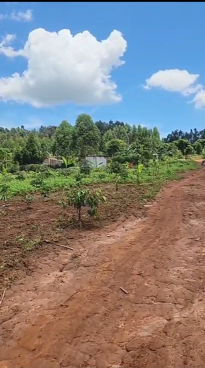 shukranproperty's tweet image. LAND FOR SALE OFF ENTEBBE ROAD 

2 Acres of land 

Private Mailo Land title

Located at Sissa, Ngongolo before #Nakawuka Town

Selling Price at #150m Ugx per Acre 

0706592177

#RealEstateInvestment #landforsale #housesforsale