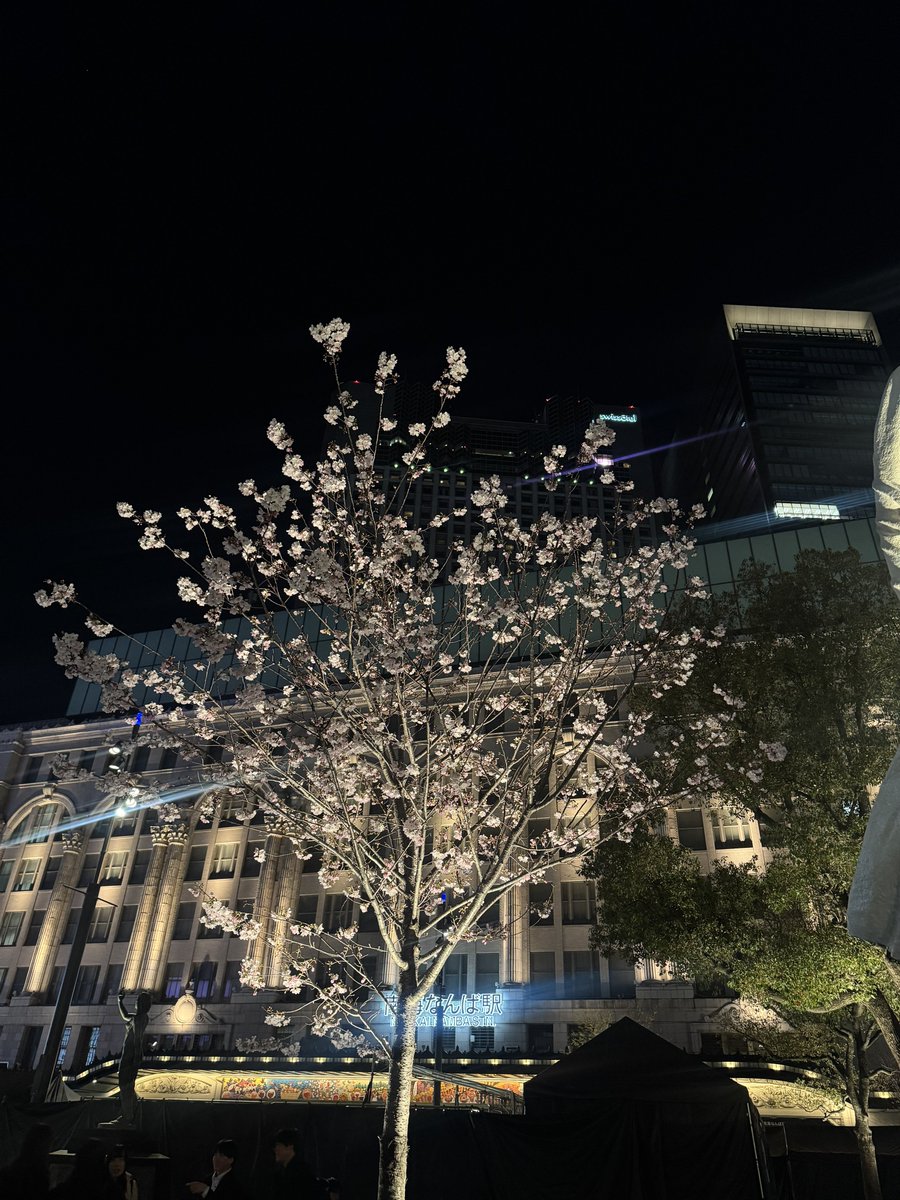 橘田ほのか tweet media