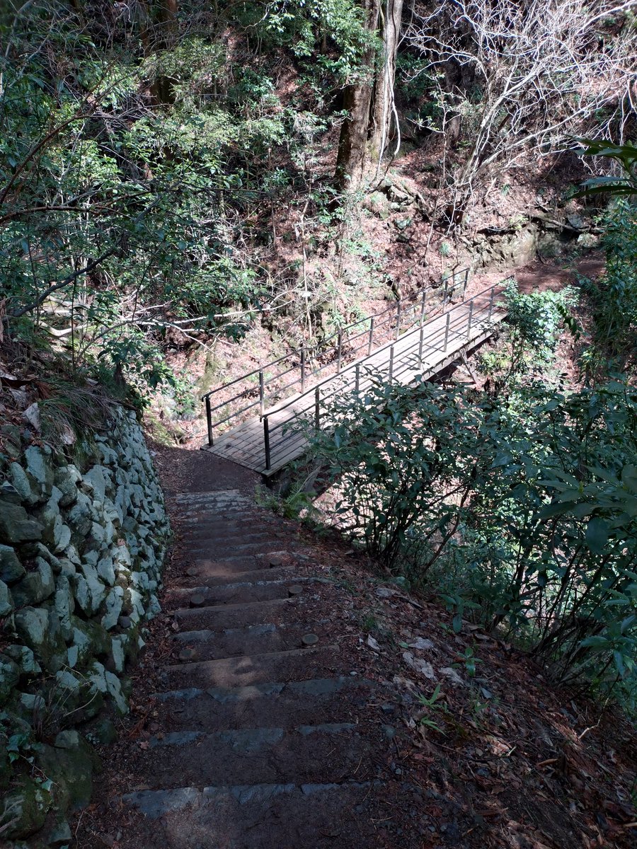何やかんや2時間ちょい歩いた…😤そして🍡焼きだんごを食う…🤤さて帰る…道中虫がだいぶ居たなぁ🙄夏はヤバそうだ…どこか他に歩ける場所ないかな？🤔