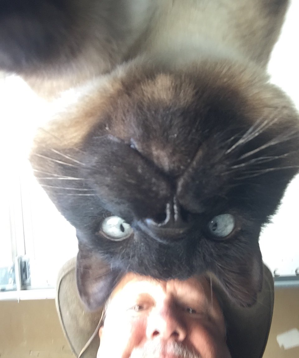 Cawoonache tweet media