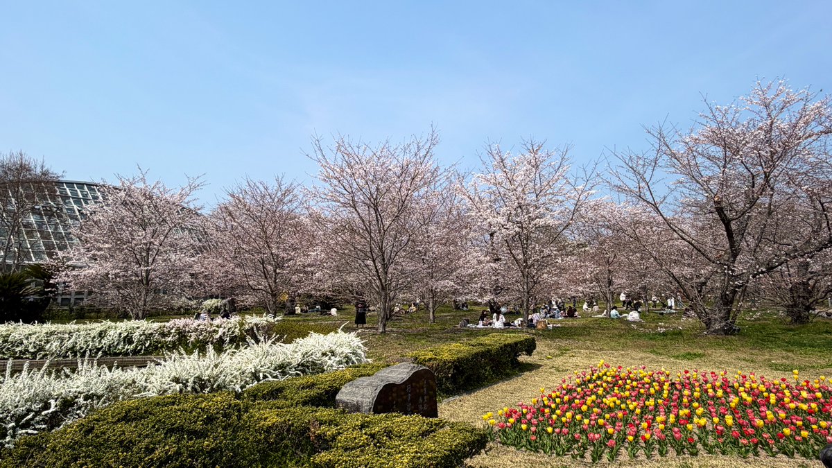 逃げドラ tweet media