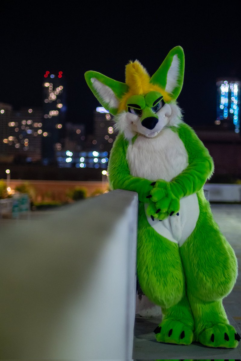 Ascari Husky @FurDu/FWA/AO/AC tweet media