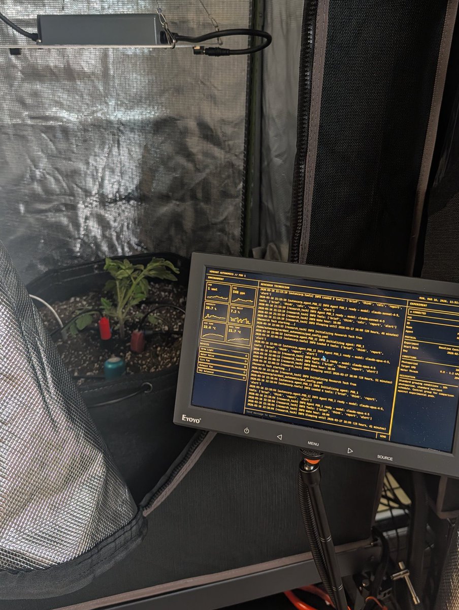 tulex.eth tweet media