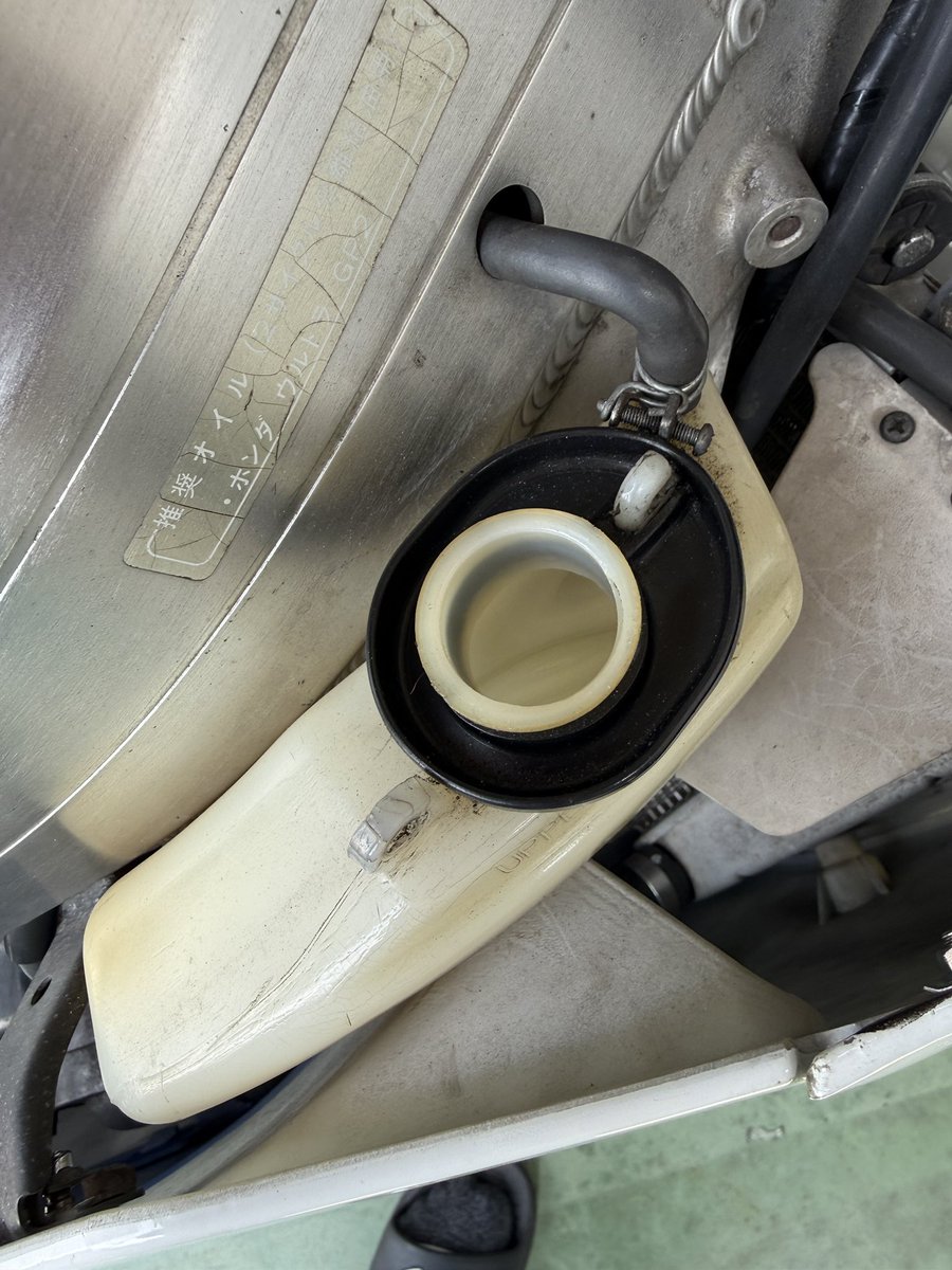 とんとん tweet media