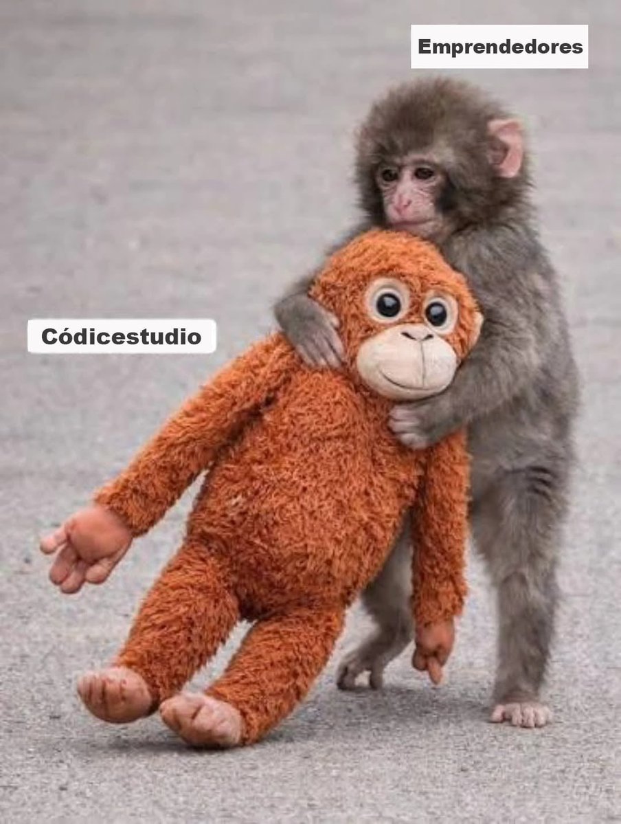 Códicestudio Diseño🖍️ tweet media