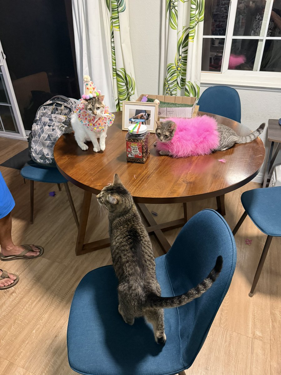 Sarah Fletcher tweet media