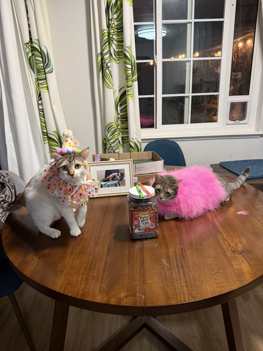 Sarah Fletcher tweet media