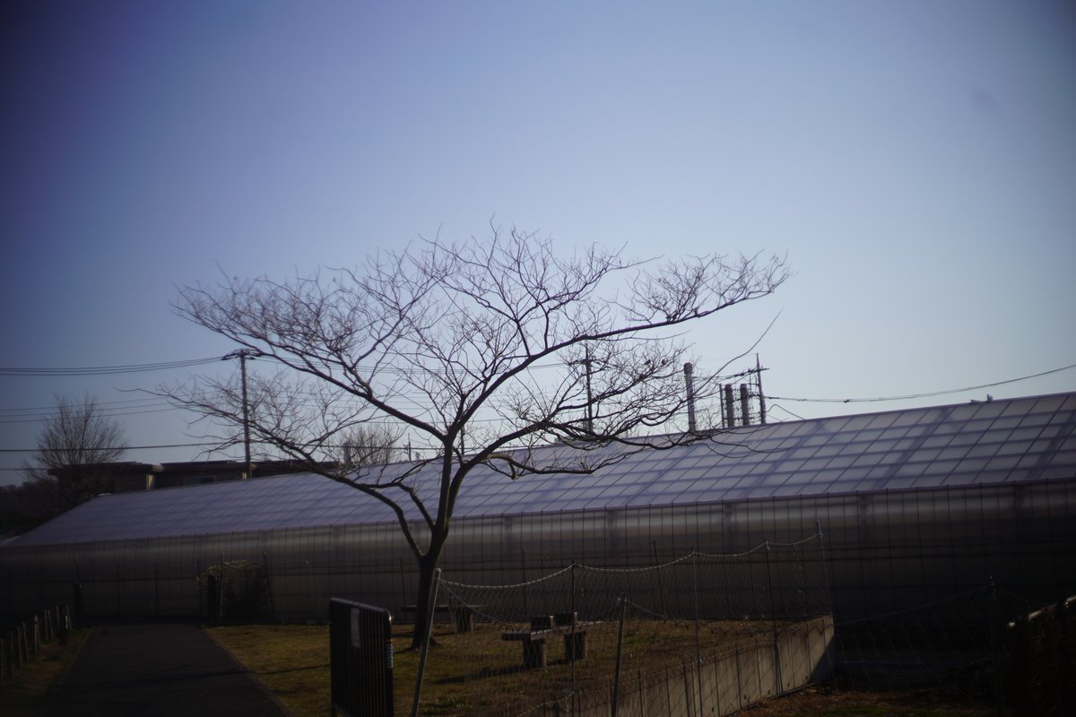 ダーク tweet media