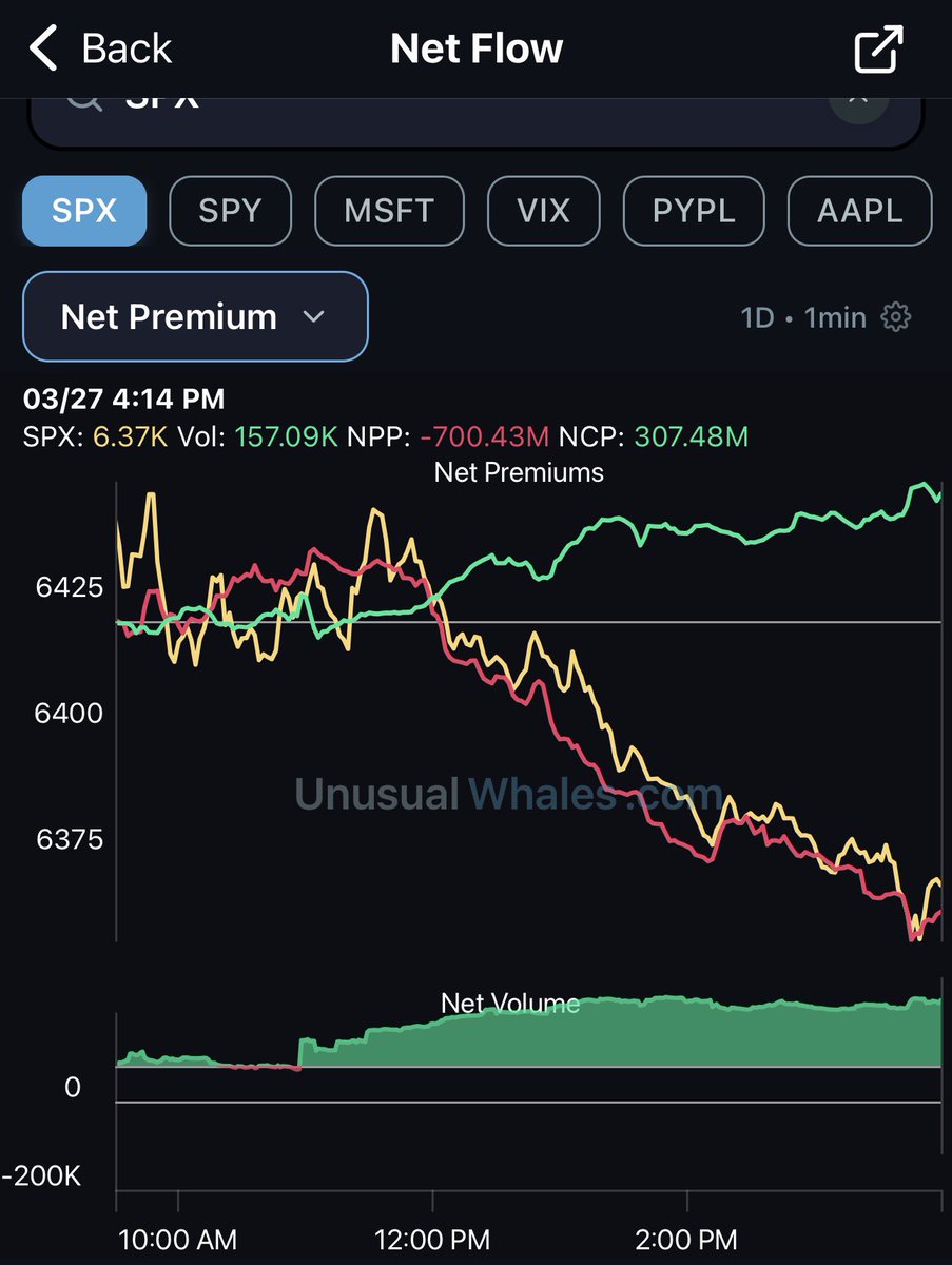 DDW88523 tweet media