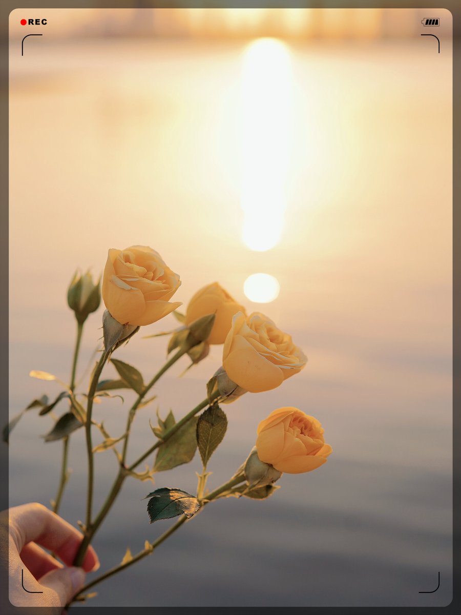 simo omis tweet media