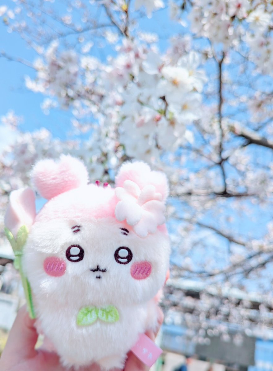 ᴴⁱᶜʰᵃ♡ tweet media