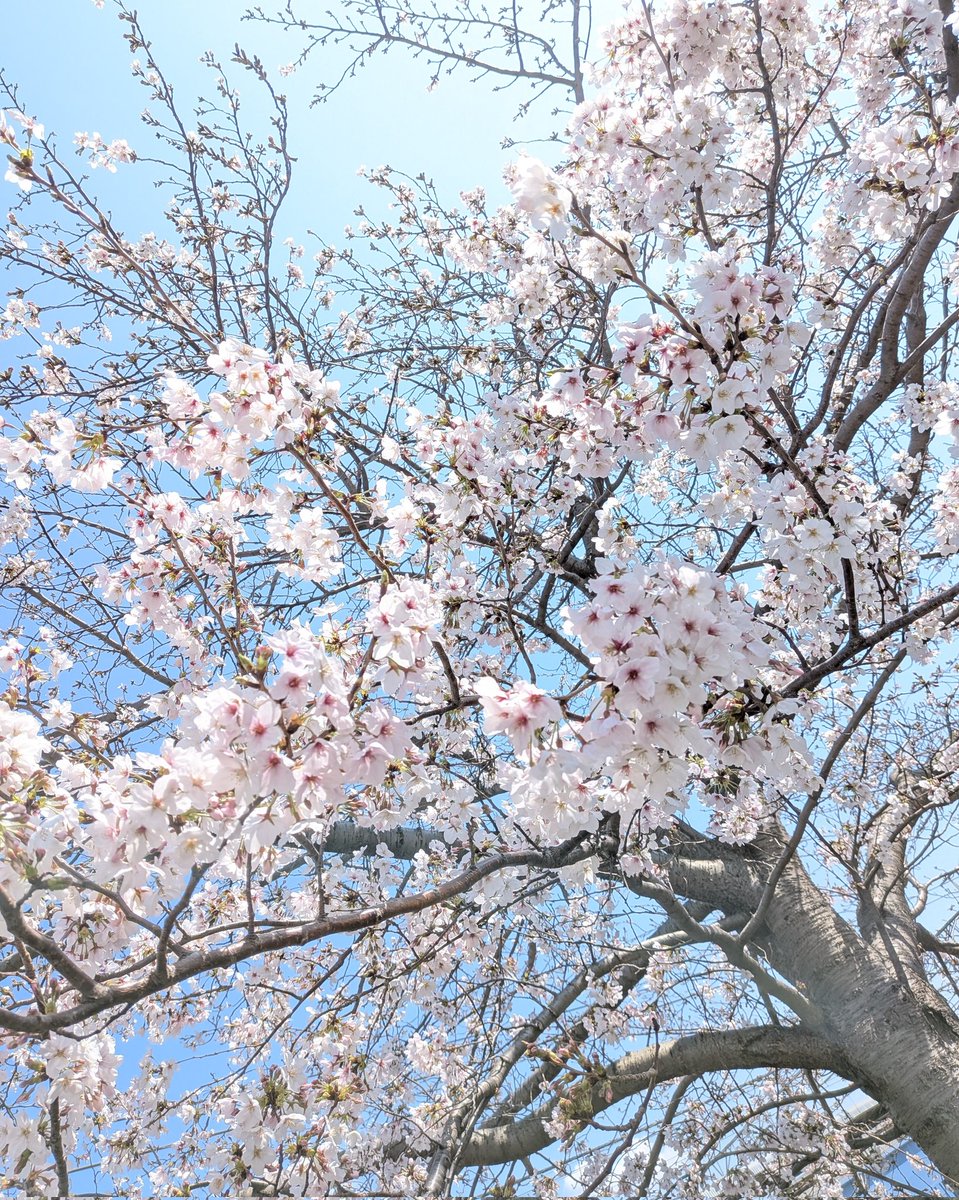 ᴴⁱᶜʰᵃ♡ tweet media