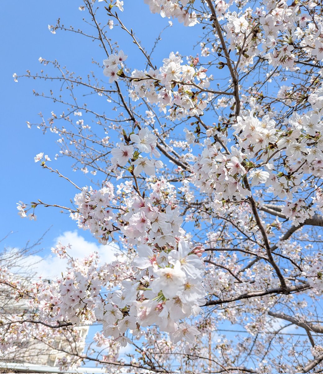 ᴴⁱᶜʰᵃ♡ tweet media