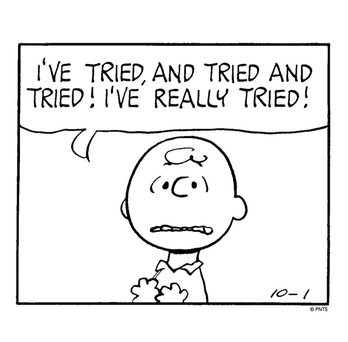 vampire cowboy | mcr ny and la2 tweet media