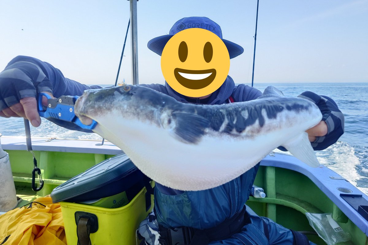 うりゃﾀｿ tweet media