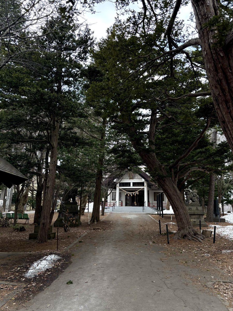 KEN-addict40t tweet media