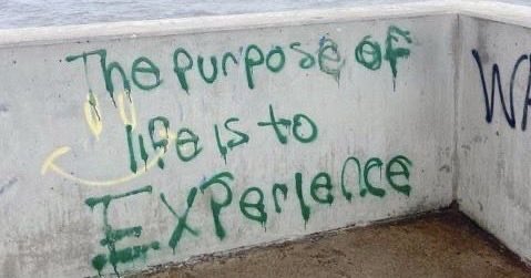 morayo0x's tweet photo. i will be finishing my exams on monday and will have a six-month break afterward.

during this time, i plan to go on more walks than usual, listen to chopin and rachmaninov, read kafka and dostoyevsky. i will also try to learn painting. https://t.co/7JiWqA2CEm
