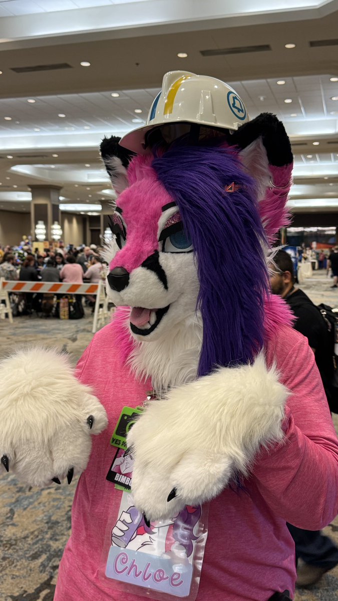 Chloefoxie@🔜TFF tweet media