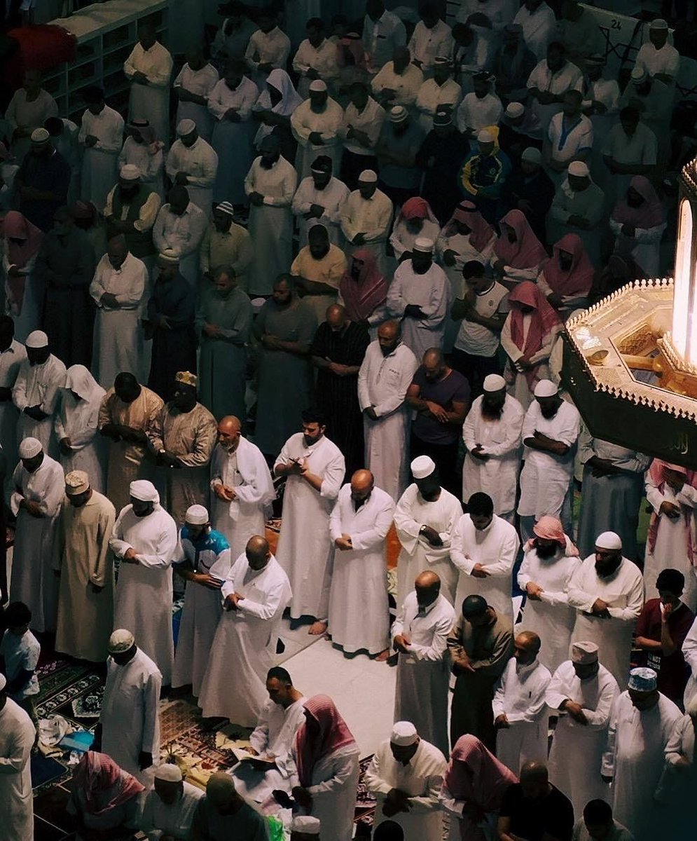 moussa_tawhid's tweet photo. N’OUBLIE PAS LA SALÂT AL FAJR 
N’OUBLIE PAS LA SALÂT AL FAJR 
N’OUBLIE PAS LA SALÂT AL FAJR
N’OUBLIE PAS LA SALÂT AL FAJR 
N’OUBLIE PAS LA SALÂT AL FAJR 
N’OUBLIE PAS LA SALÂT AL FAJR
N’OUBLIE PAS LA SALÂT AL FAJR 
N’OUBLIE PAS LA SALÂT AL FAJR 
N’OUBLIE PAS LA SALÂT AL FAJR https://t.co/mQDP7J2iLr