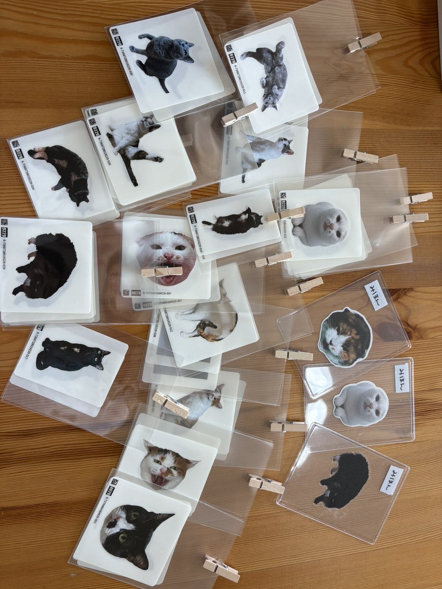 ネコラブカフェ🐈ネコフリーク tweet media