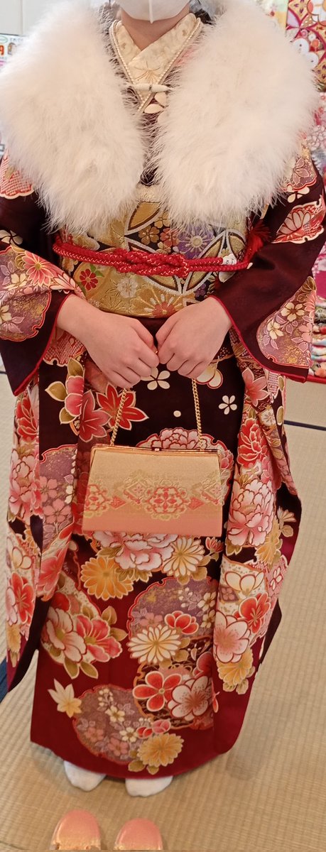 Mme_Non(まだむのん) tweet media