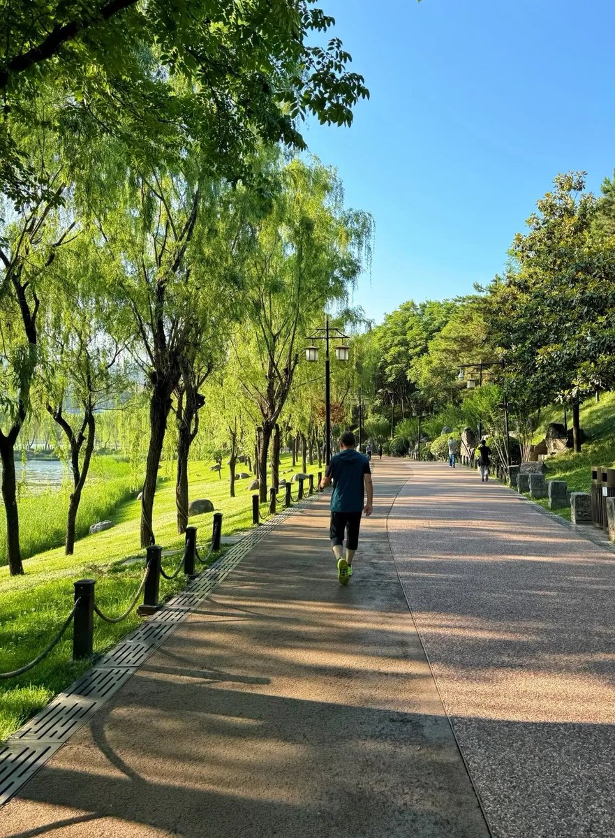 Josef Wilhelm tweet media