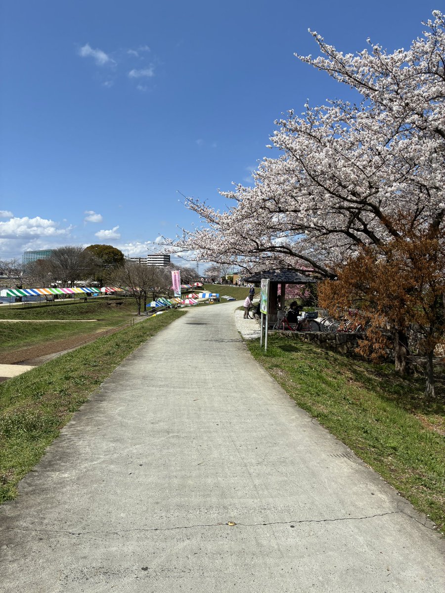 entre onigiris tweet media