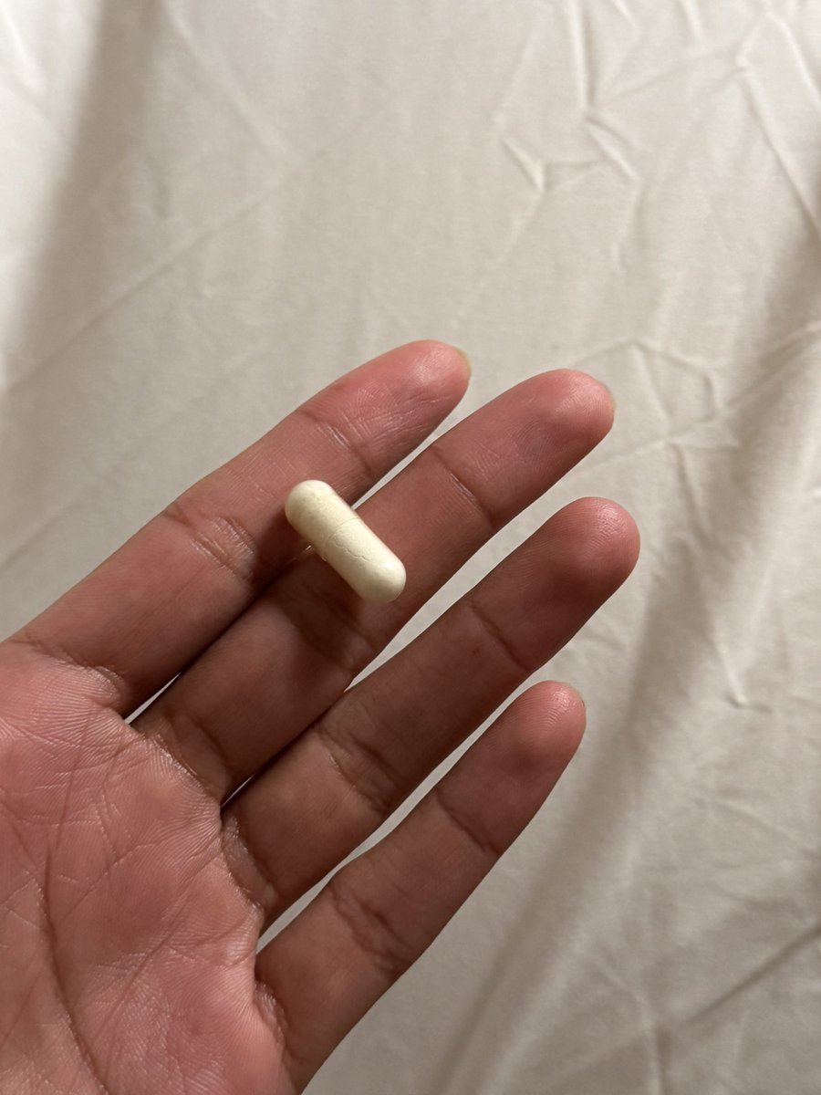 C.zahraa Alsharif tweet media