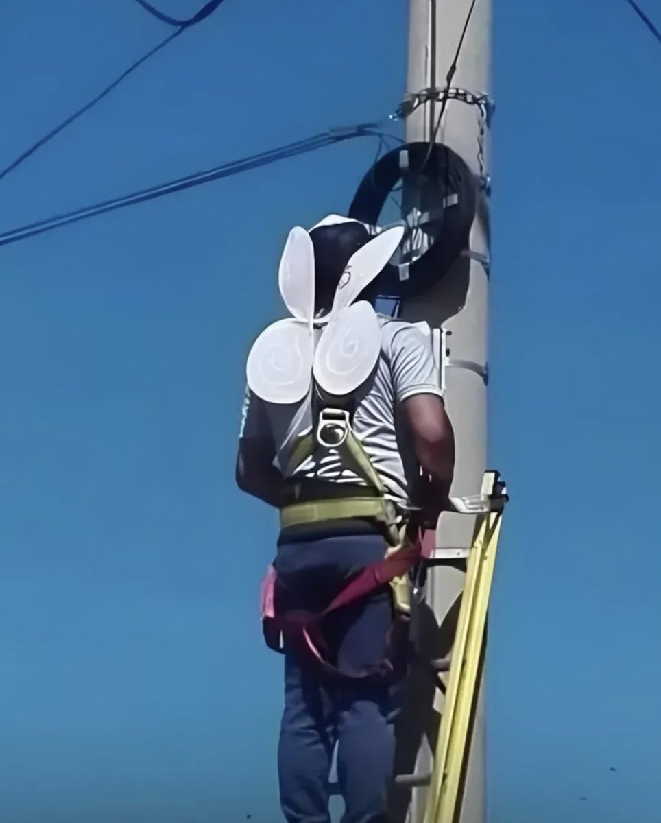 folkative tweet media