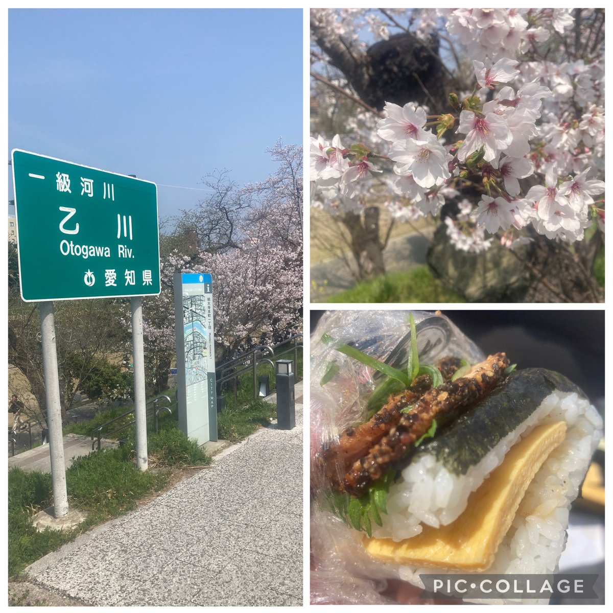 アオイニット帽 tweet media