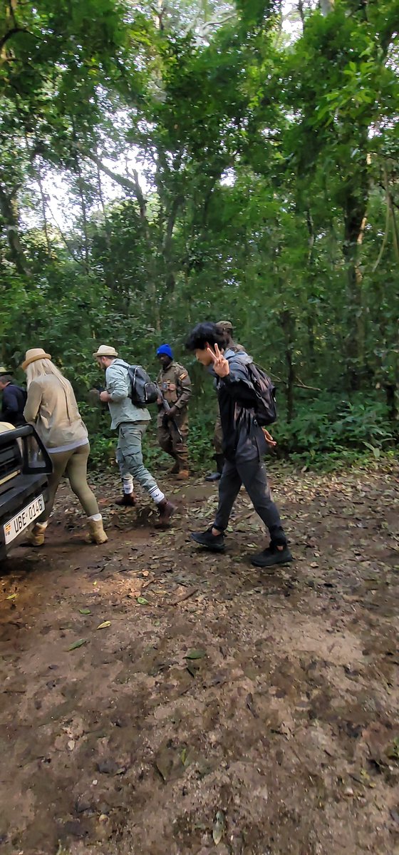 Kibale Forest National Park tweet media