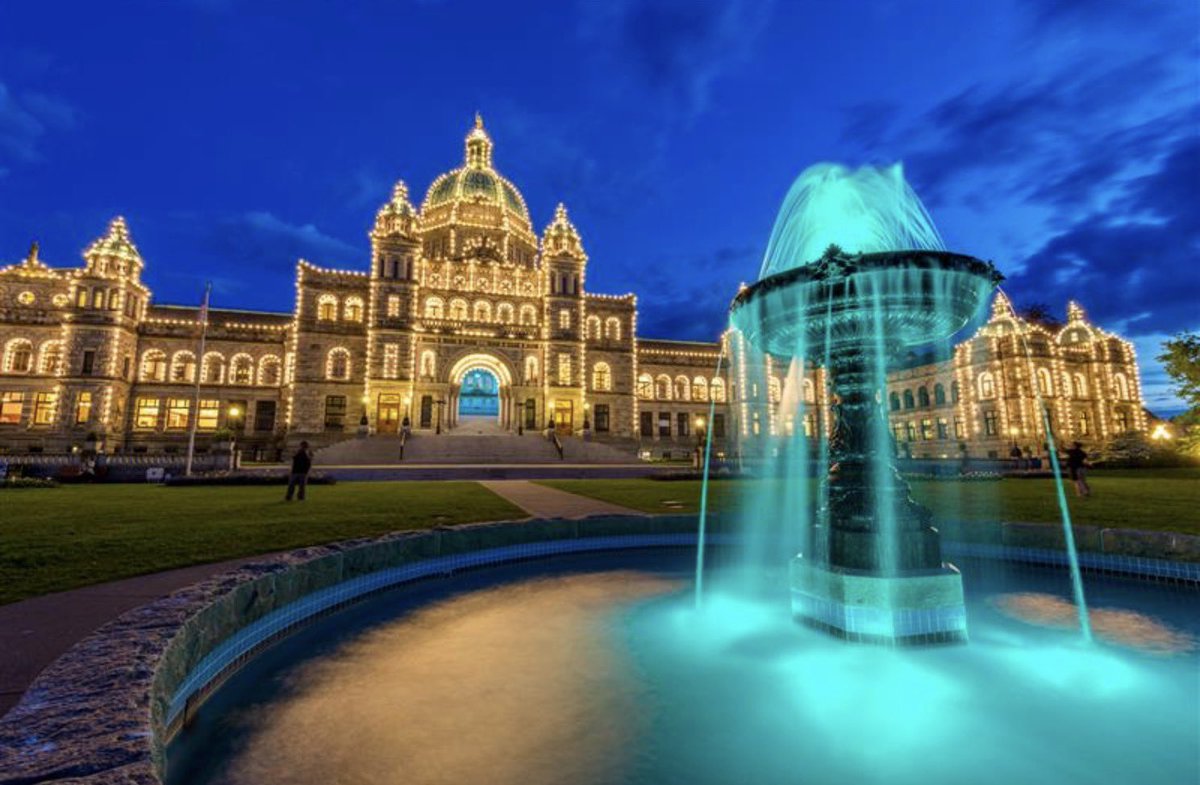 Christine 🌻 Guenter tweet media