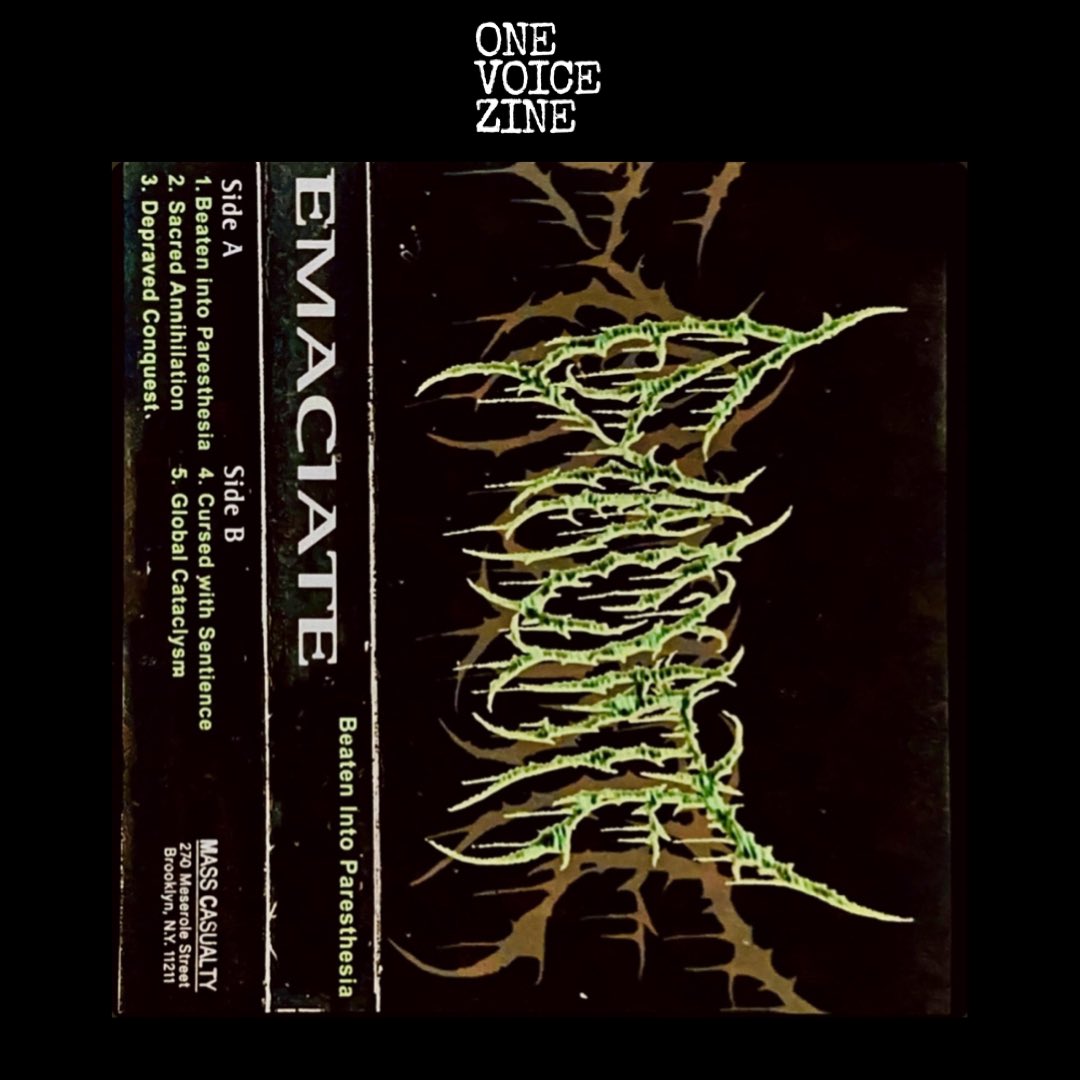 ONE VOICE ZINE tweet media