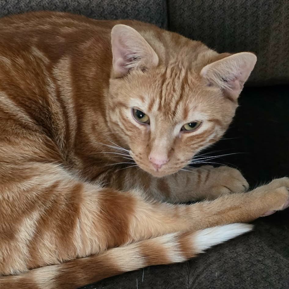 🌴Kenny Dee🌴 tweet media