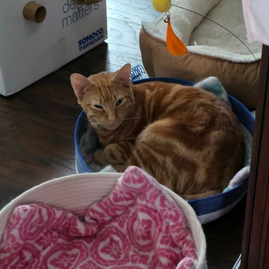 🌴Kenny Dee🌴 tweet media