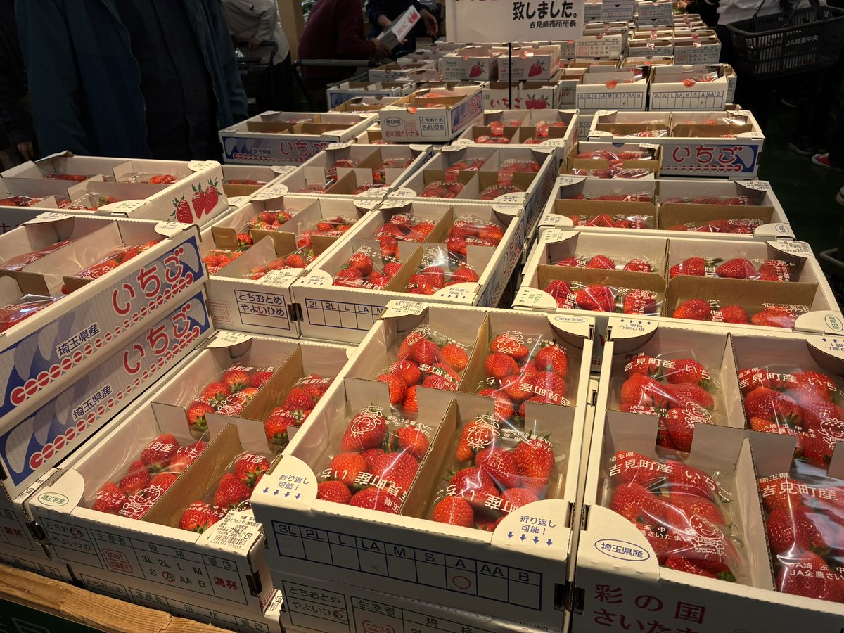 黒魔猫のしぐにぁ🐈‍⬛@現在7.0【Gungnir】 tweet media