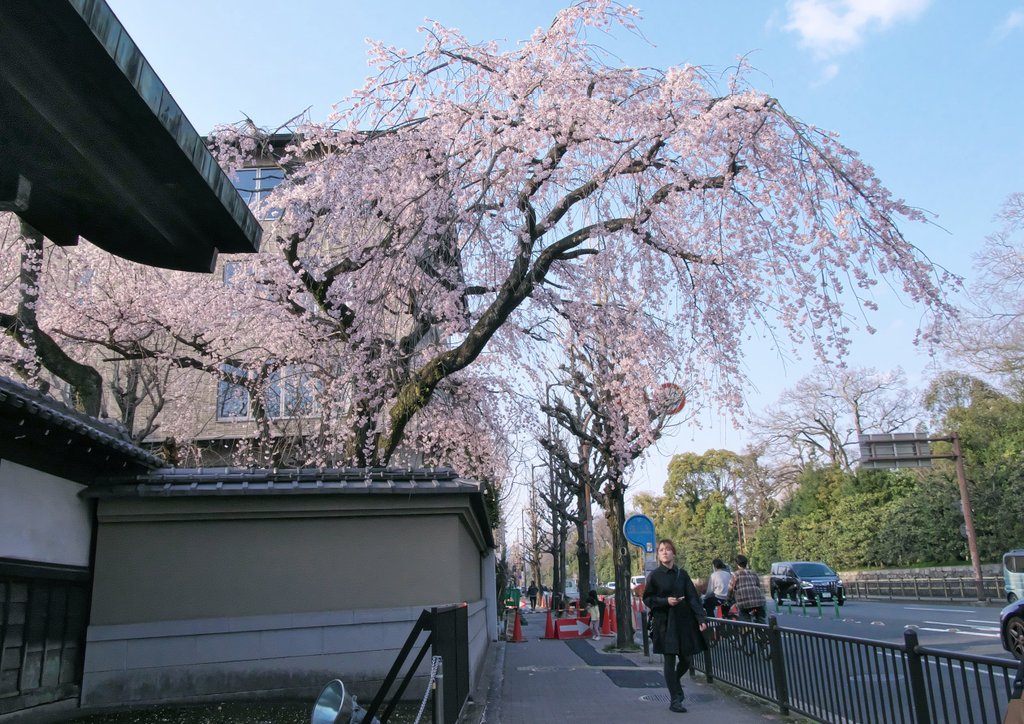 一寸帽子 tweet media