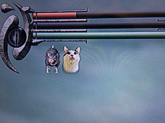 Xuanathame tweet media