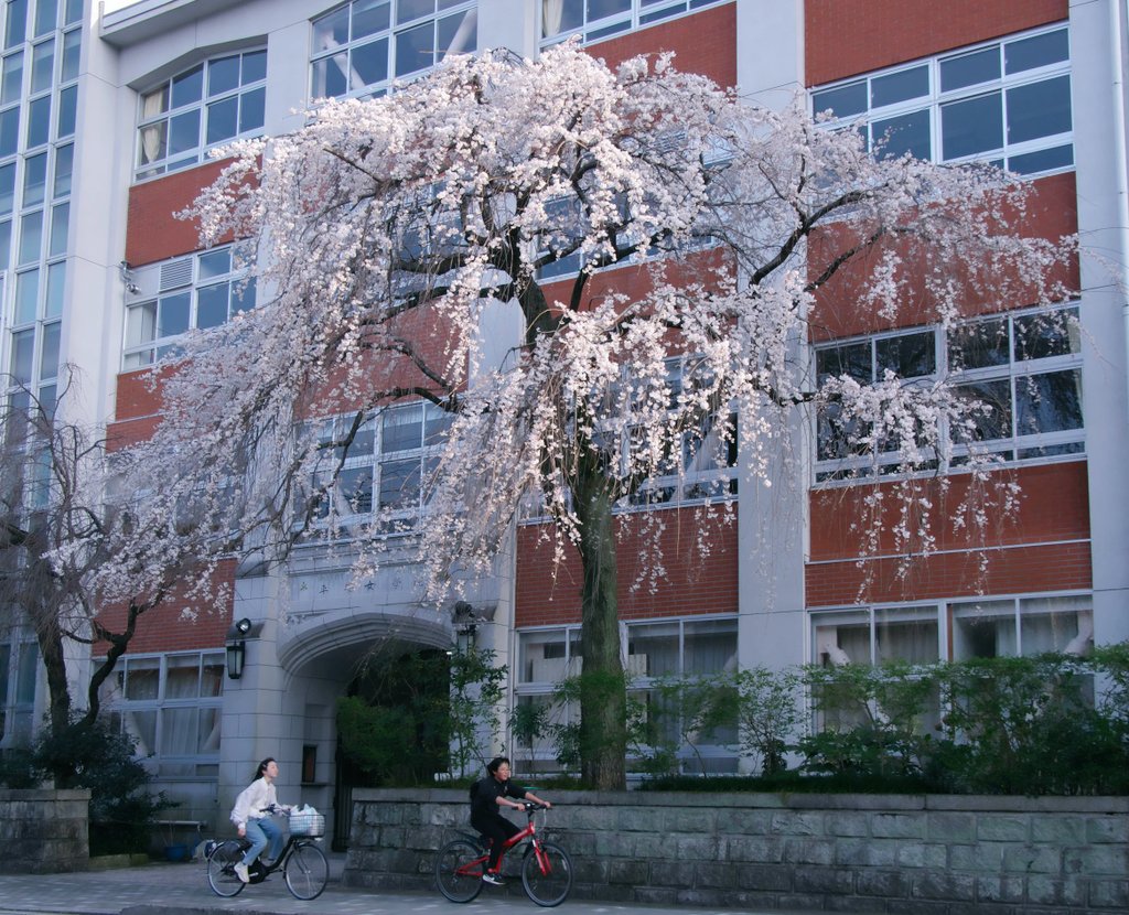 一寸帽子 tweet media